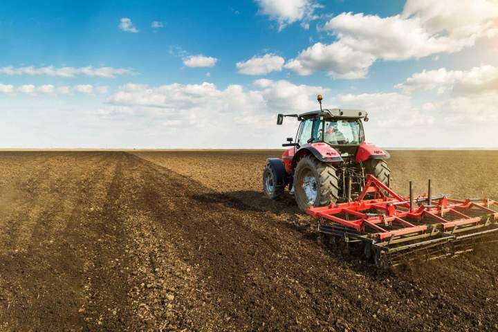 Aménagement agricole à Saint-Sulpice-la-Pointe