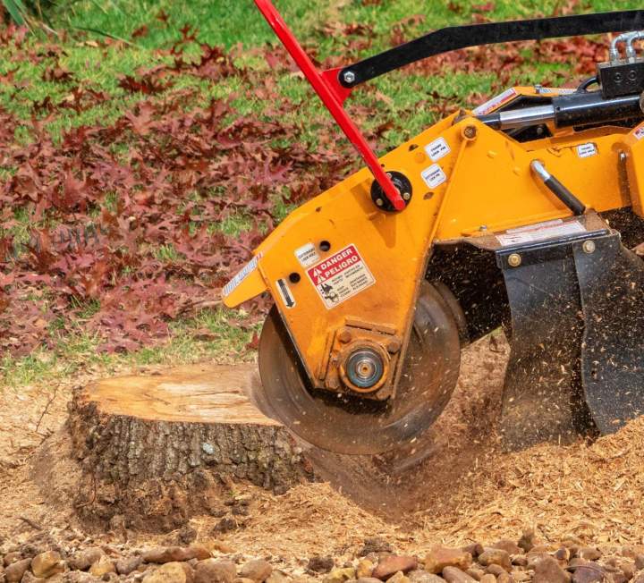 Travaux de dessouchage Saint-Sulpice-la-Pointe